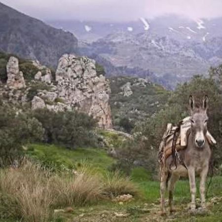 Traditional Cretan House Lithostrati Karidi Village Kültér fotó