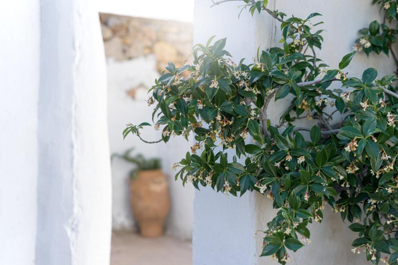 Traditional Cretan House Lithostrati Karidi Village Kültér fotó
