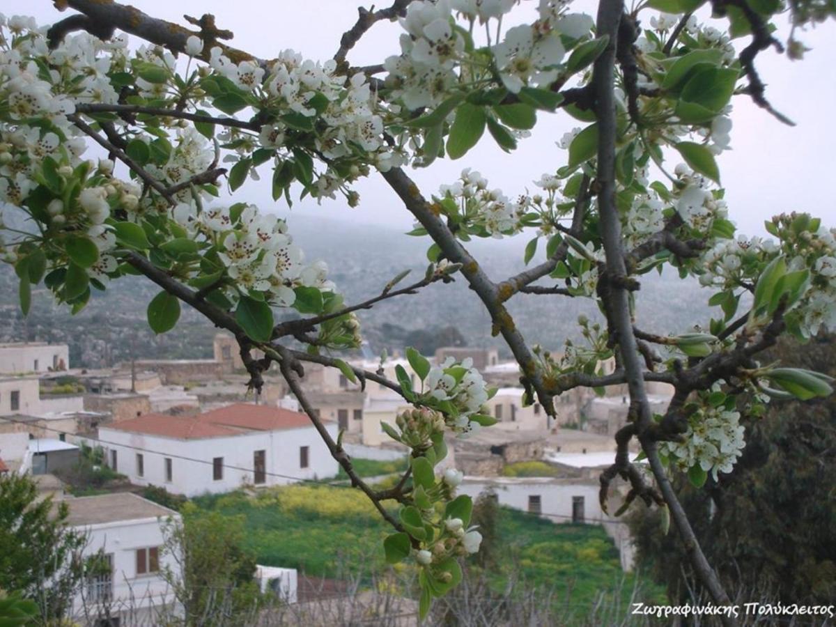 Traditional Cretan House Lithostrati Karidi Village Kültér fotó