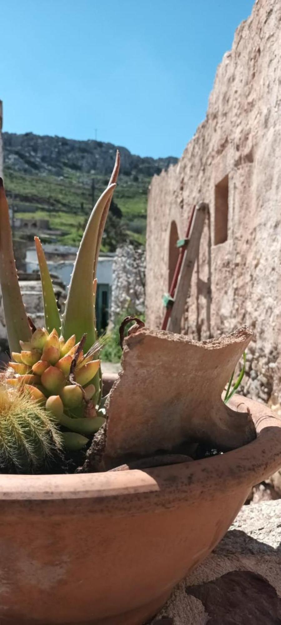 Traditional Cretan House Lithostrati Karidi Village Kültér fotó